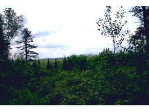 49.5 Deer Run, Bethlehem, NH 03574 - photo 1