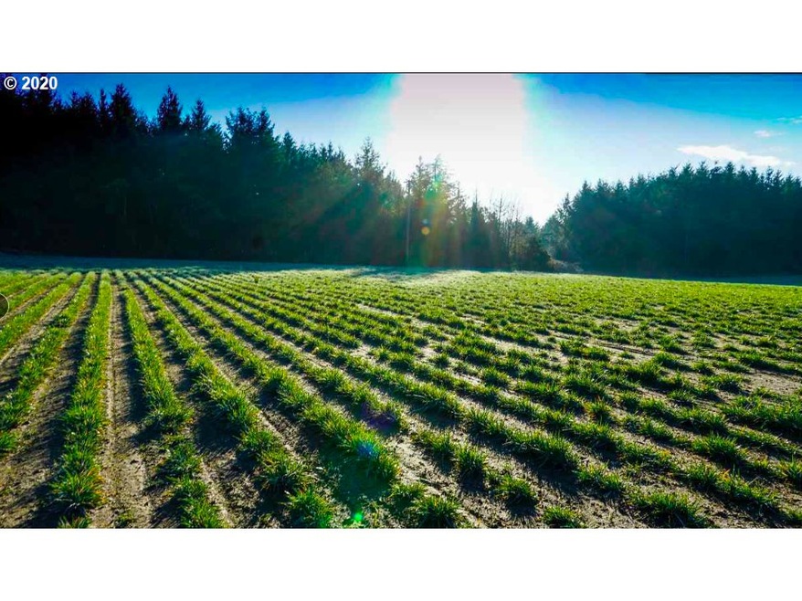 0 Highway 223 (Parcel, Dallas, OR 97338 - photo 1