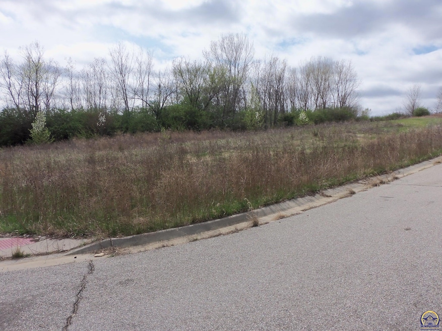 6319 SW 46th Park, Topeka, KS 66610 - photo 1