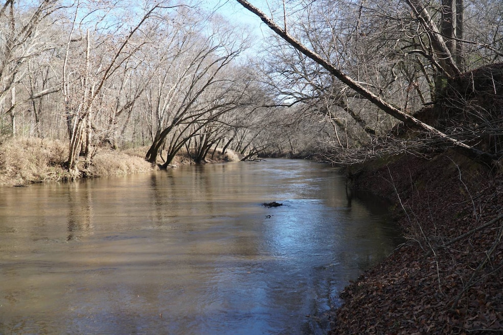 0 Alabama 187, Hodges, AL 35571 - photo 1