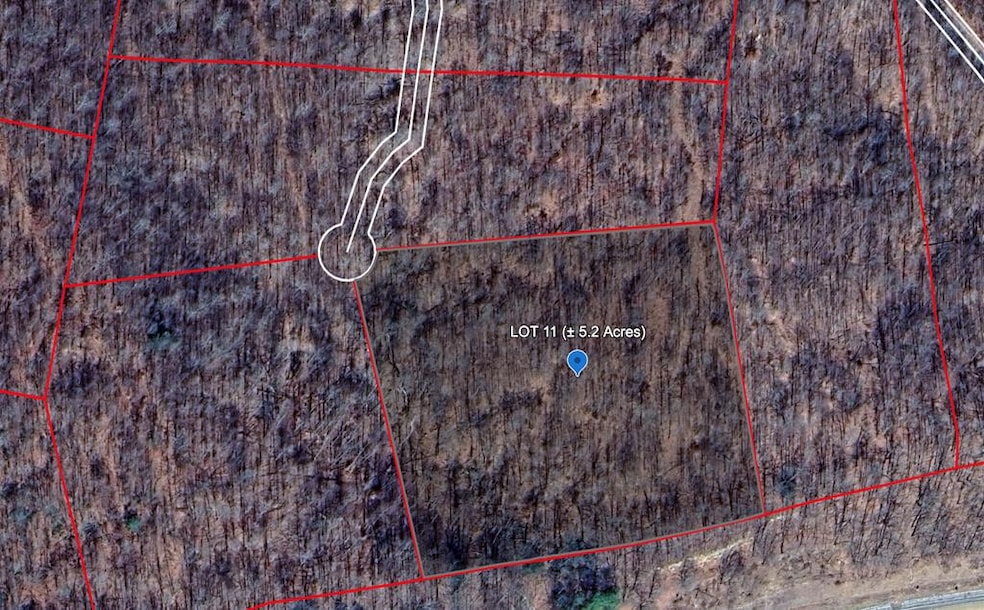 127 Cardinal Way, Bragg, WV 25918 - photo 1