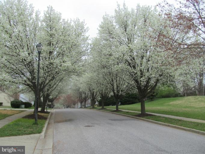 13014 Marthas Choice Cir, Bowie, MD 20720 - photo 1