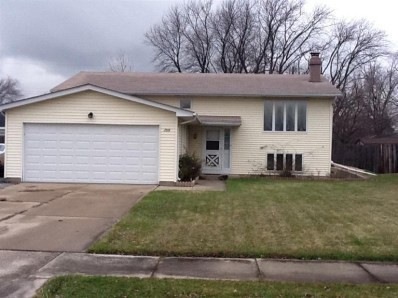 705 205th Place, Dyer, IN 46311 - photo 1