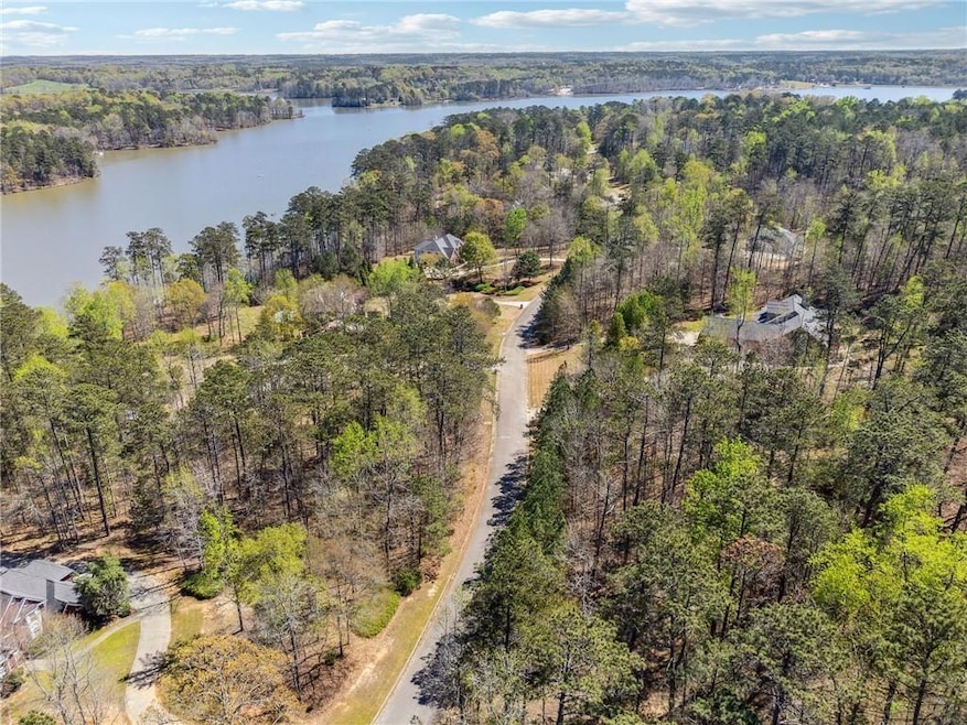 Bird's eye view of a forest and a large body of water