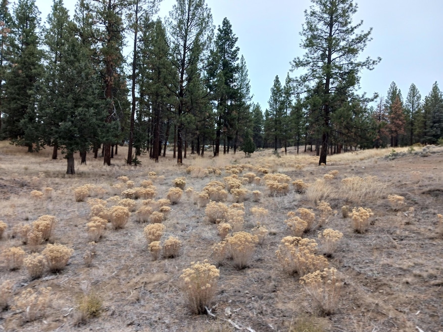 0 Arrowhead Ln unit Lot 20, Chiloquin, OR 97639 - photo 1