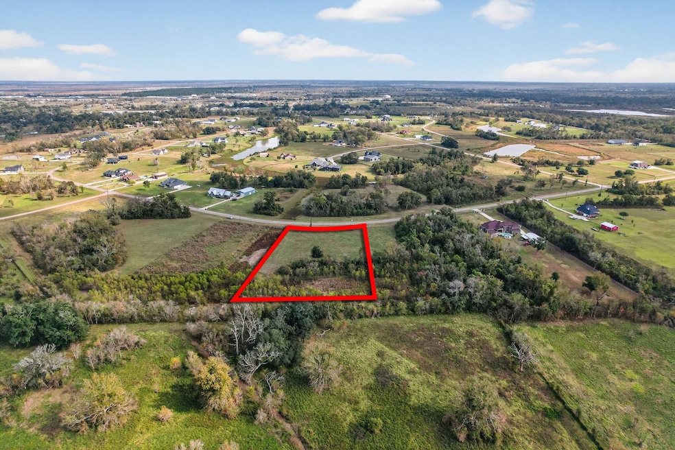 22810 Pittman Dr, Angleton, TX 77515 - photo 1