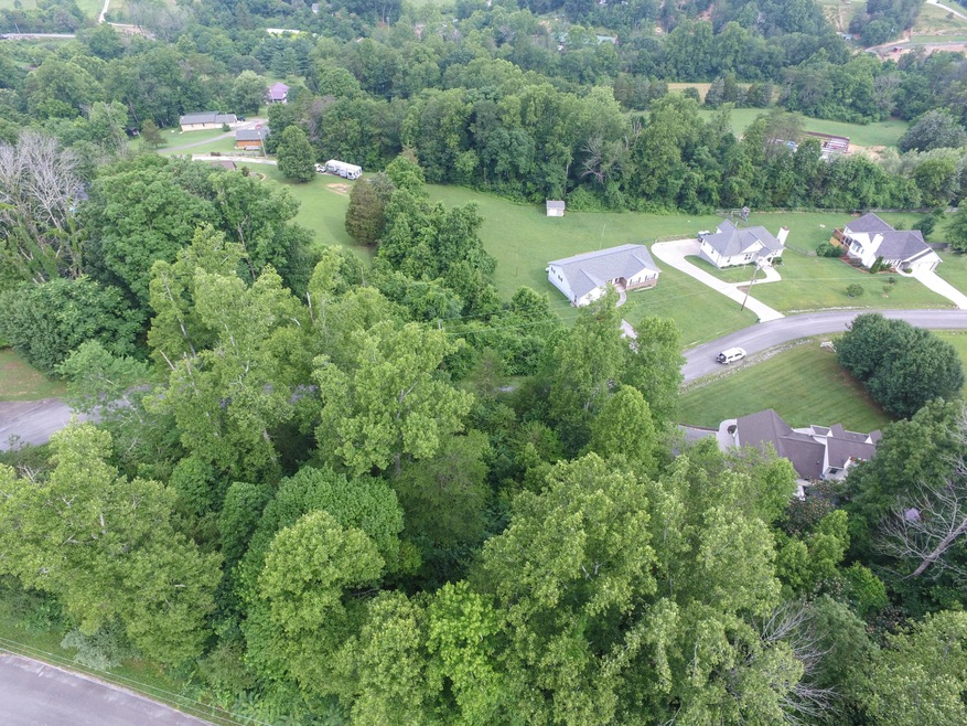 DJI_0499