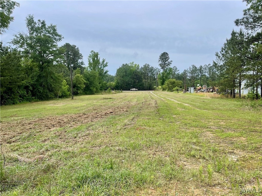 Back of property looking toward road frontage