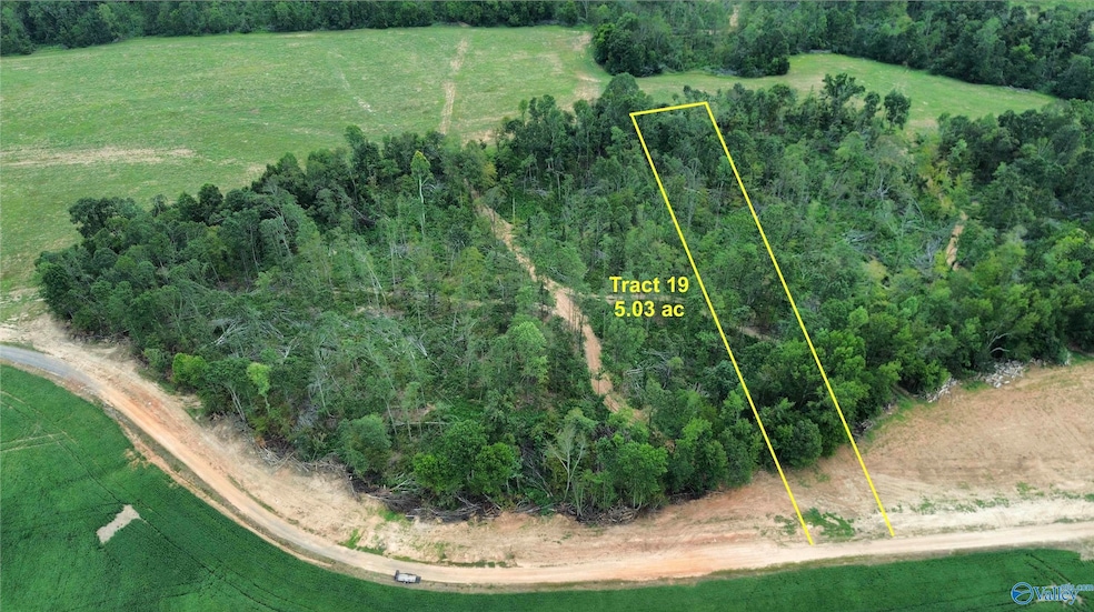 19 Holland Rd, Athens, AL 35614 - photo 1