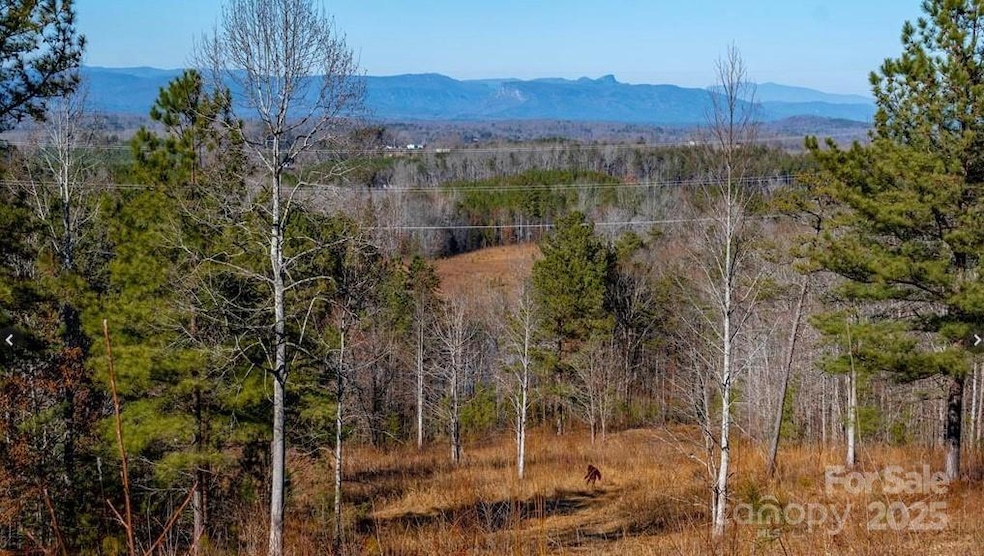 99999 N Carolina 226, Nebo, NC 28761 - photo 1