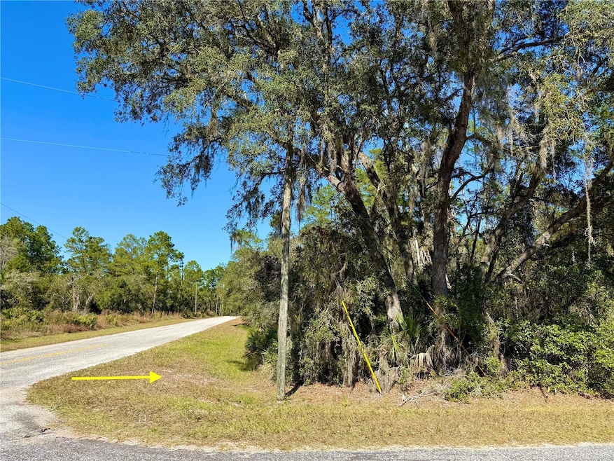 LOT 11 Tulip Ave, Eustis, FL 32736 - photo 1