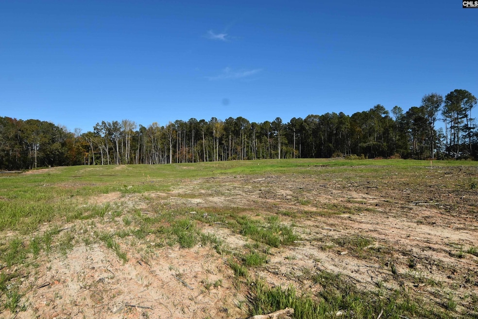 Lot 4 Gold Nugget Point, Prosperity, SC 29127 - photo 1