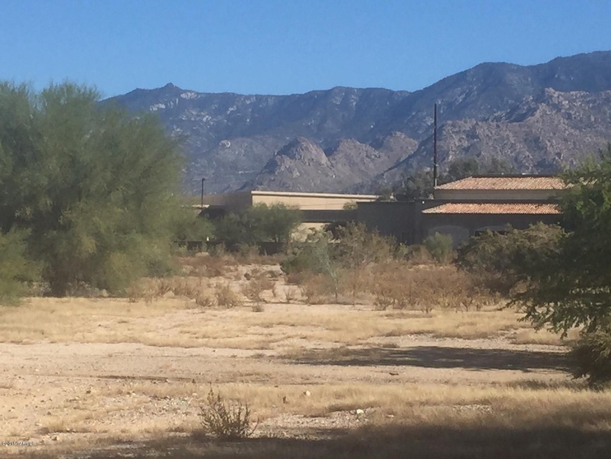 Lot 7 Mercado Del Rio unit 7, Tucson, AZ 85737 - photo 1