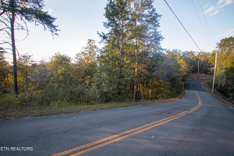 Fox Ridge Way Land-100