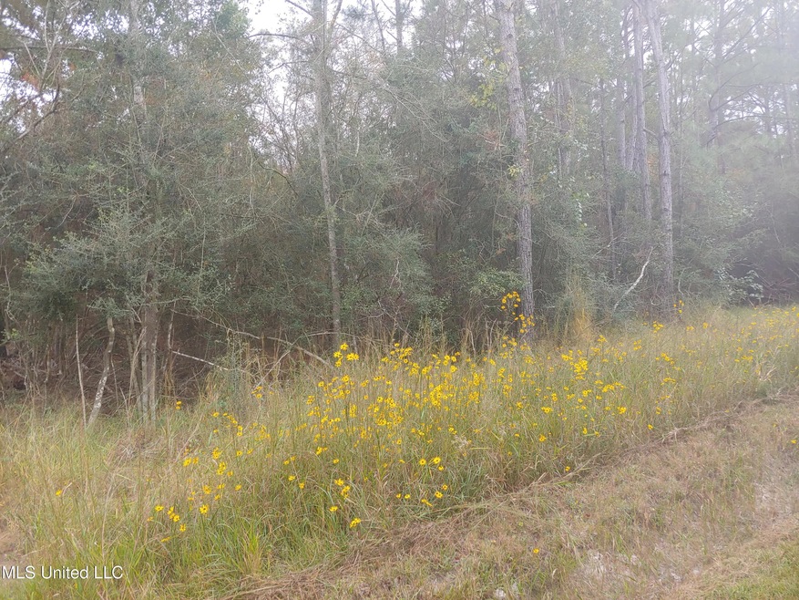 00 Tate St, Bay Saint Louis, MS 39520 - photo 1