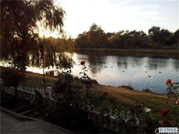 Lake Front Yard