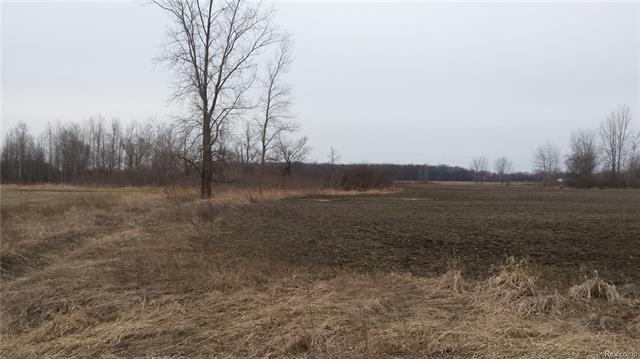This is a view of the property.