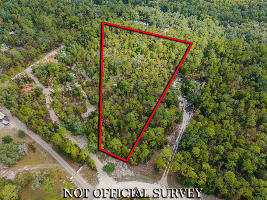 LOT 61 NE 899th St, Old Town, FL 32680 - photo 1