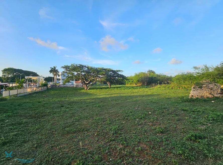 KM 1.6 Carr 4466, Isabela, PR 00662 - photo 1