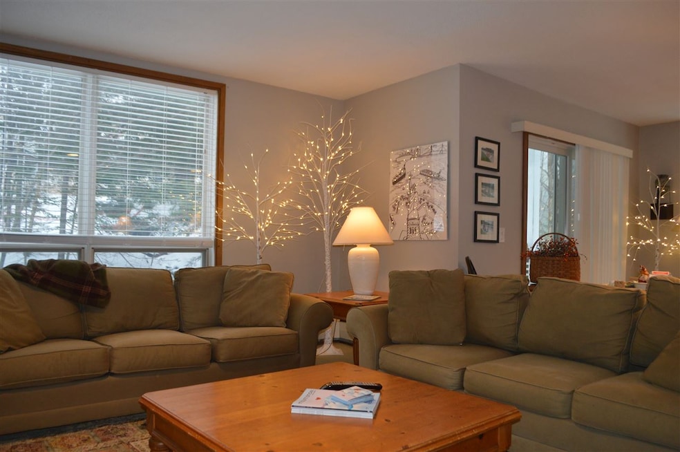 5 Northbrook Village Rd unit Seasons A- 28, Dover, VT 05356 - photo 1