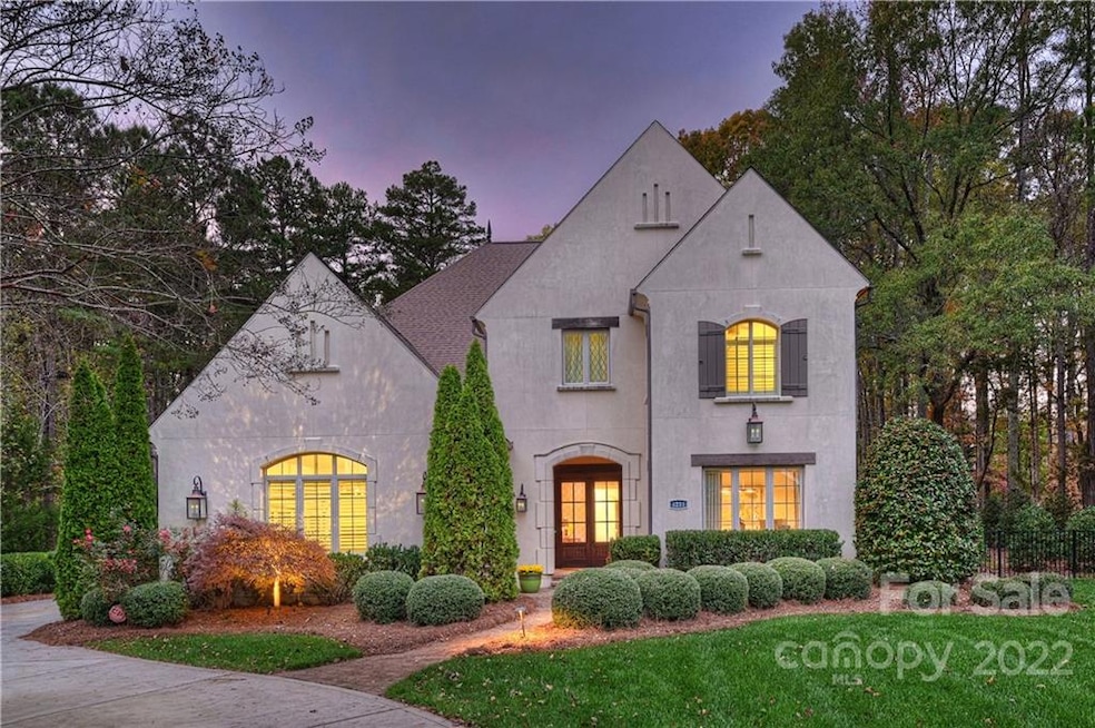 4231 Piaffe at Twilight....