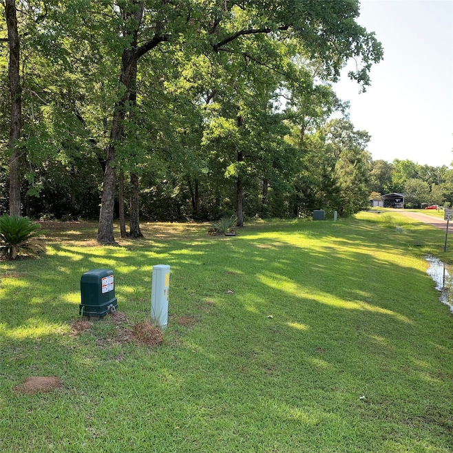 TBD Water Oak Dr, Point Blank, TX 77364 - photo 1