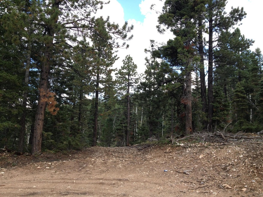 805 & 815 W Shale Cir unit ZVME E 138 & 139, Duck Creek Village, UT 84762 - photo 1