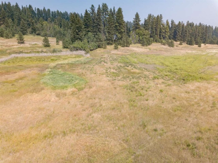 000 E Chattaroy Rd, Chattaroy, WA 99003 - photo 1