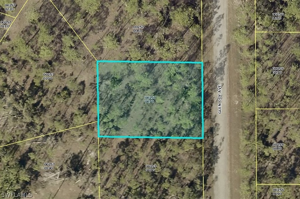 834 Glen Coy Ave, Lehigh Acres, FL 33974 - photo 1