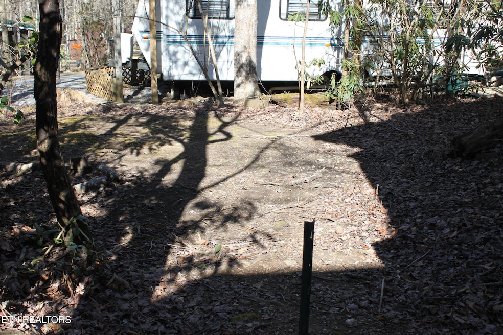 299 Harmony Way, Cosby, TN 37722 - photo 1