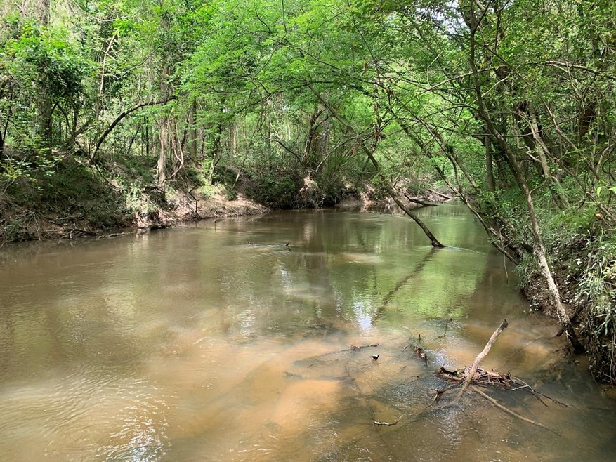 2190 Ernest A Thompson Rd, Ruth, MS 39662 - photo 1