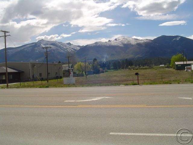 Primary Photo