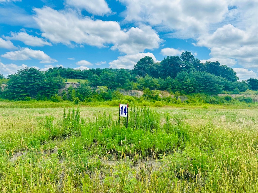 14 Turkey Loop, East Bernstadt, KY 40729 - photo 1