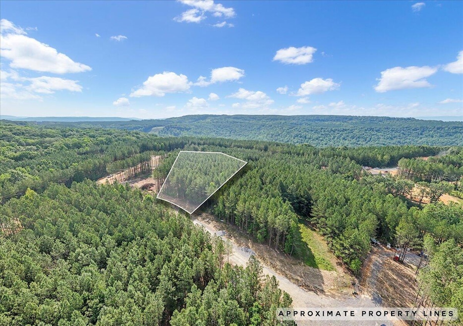 01-DJI_20250611091036_0010_D copy