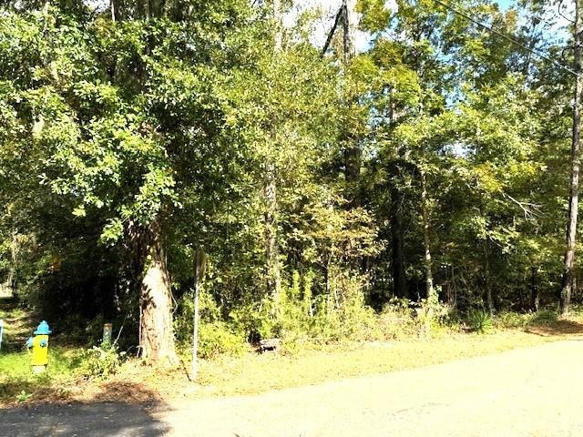 551 Colbert St, Mandeville, LA 70448 - photo 1