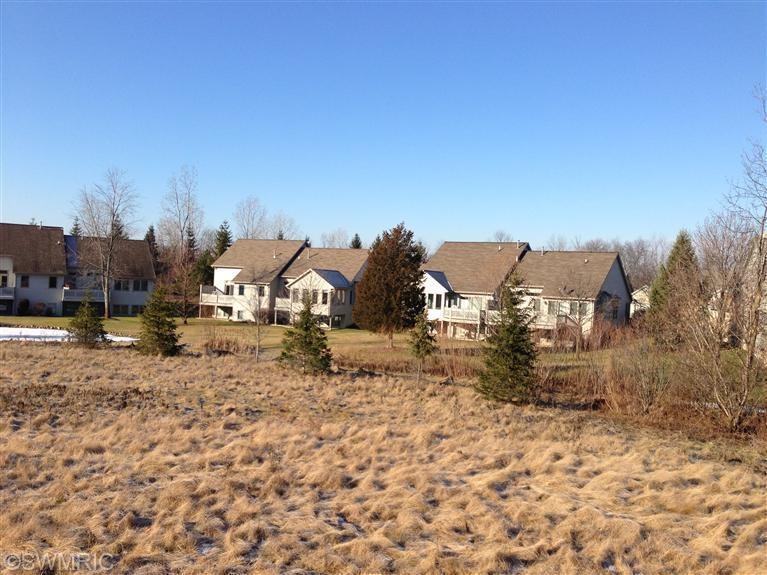 2476 High Ridge Hills Ln unit 81, Grand Rapids, MI 49546 - photo 1