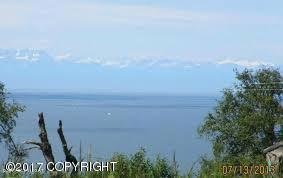 Clam Gulch1