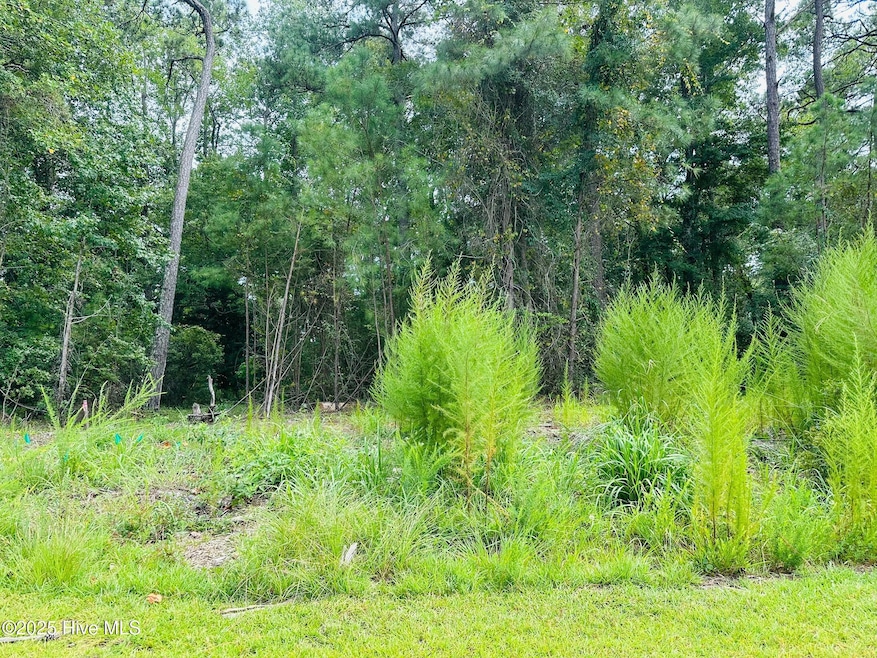 6075 Ocean Isle Palms Way SW