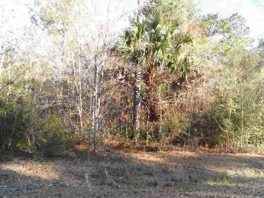 0 Hunters Trace unit x 244851, Crawfordville, FL 32327 - photo 1