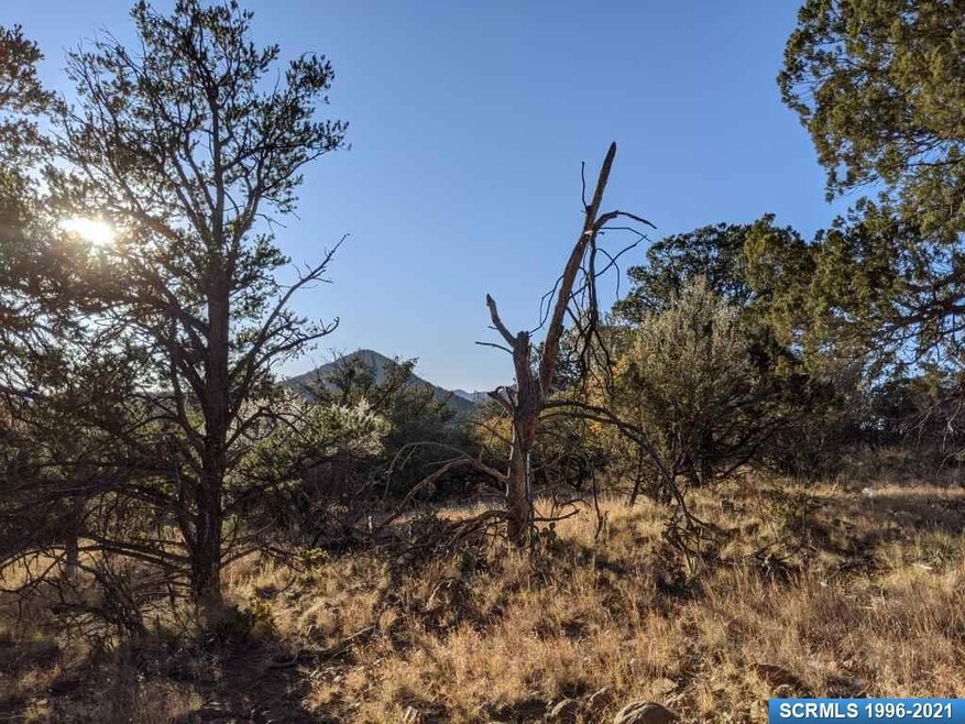 39 Vesuvius Way, Silver City, NM 88061 - photo 1