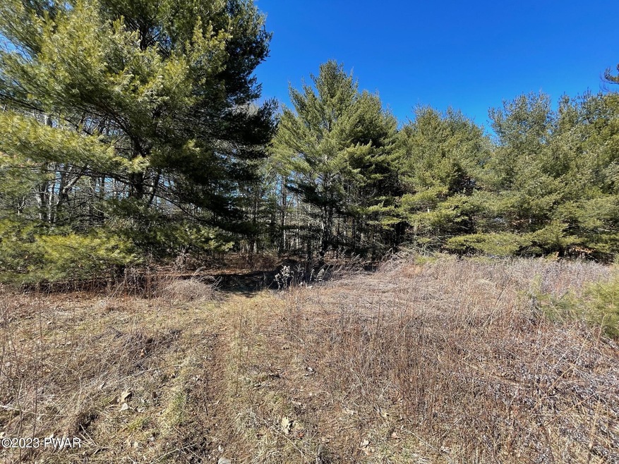 Lot 19 Mountain Springs Rd, Milford, PA 18337 - photo 1