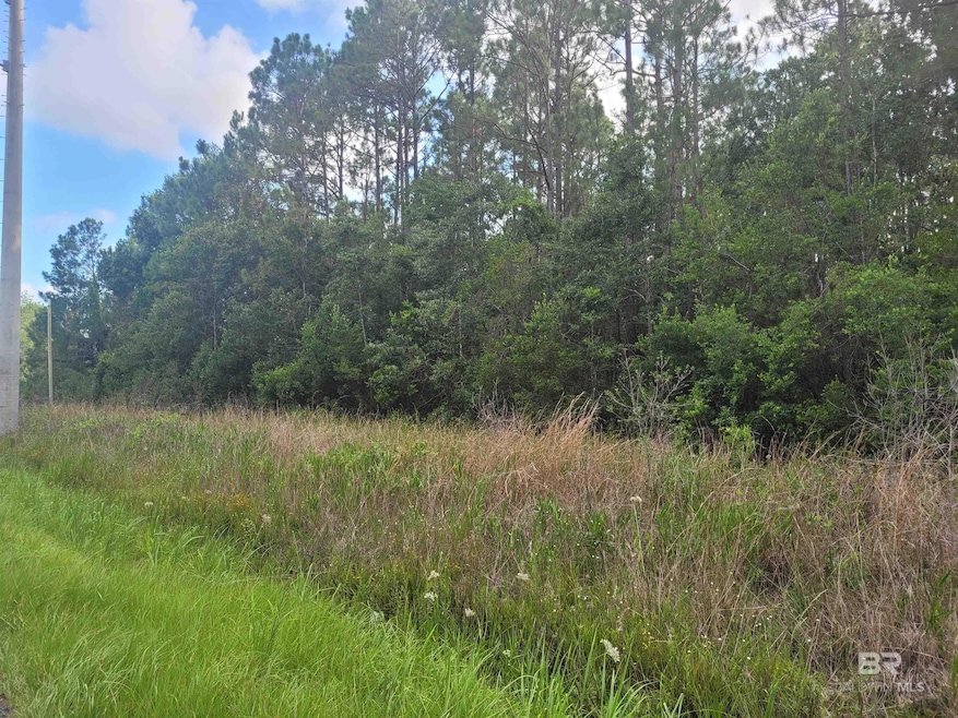 0 Bellingrath Rd unit 374430, Theodore, AL 36582 - photo 1