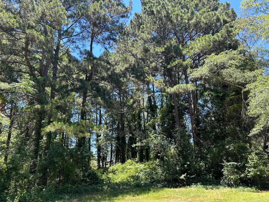 N/A0 Robin Ln, Sheridan, AR 72150 - photo 1