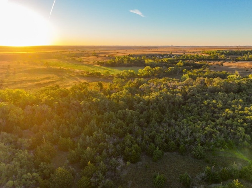R Road unit LotWP001, Damar, KS 67632 - photo 1