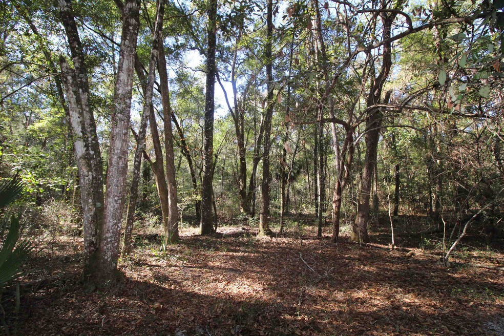 xx Simmie Dr, Crawfordville, FL 32327 - photo 1