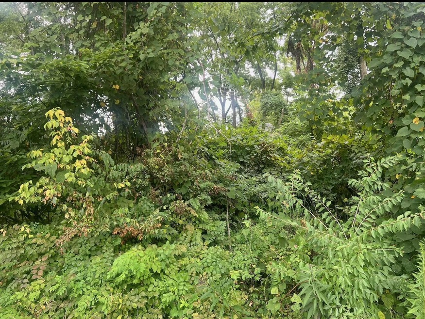 Sold $32,500 • Co-Listing Agent