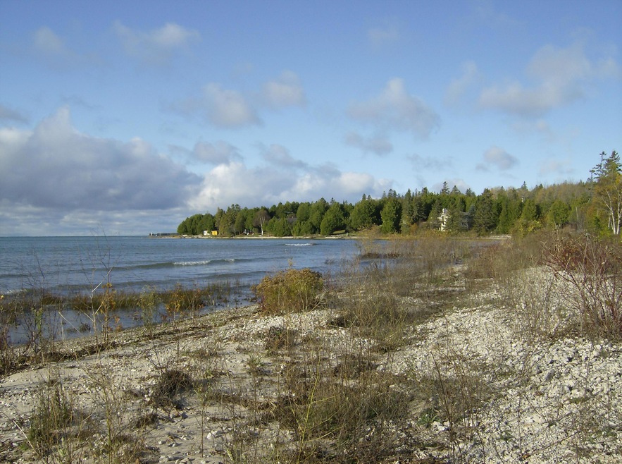 Lake Michigan Shoreline