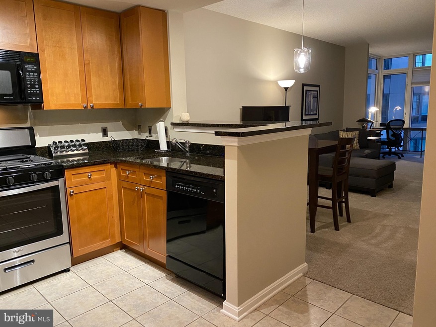 The Crescent unit 411, Silver Spring, MD 20910 - photo 1
