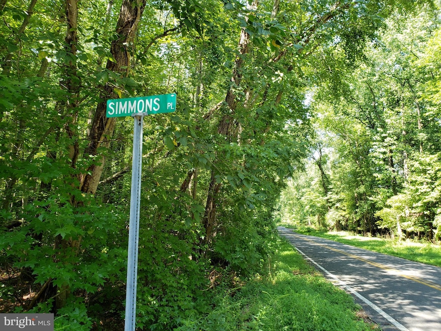 0 River Road Parcel 265, Bryans Road, MD 20616 - photo 1