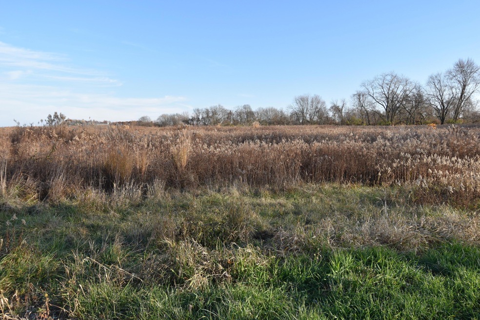 0 Rosewood Rd NE unit 225043583, Walnut Township, OH 43076 - photo 1